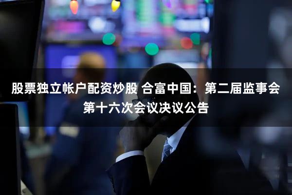 股票独立帐户配资炒股 合富中国：第二届监事会第十六次会议决议公告